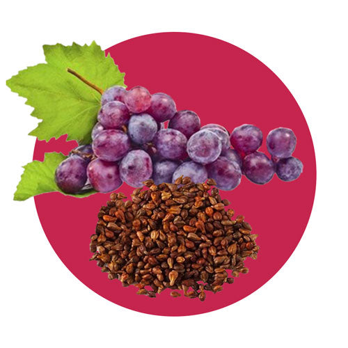 Red Grape Seed Extract