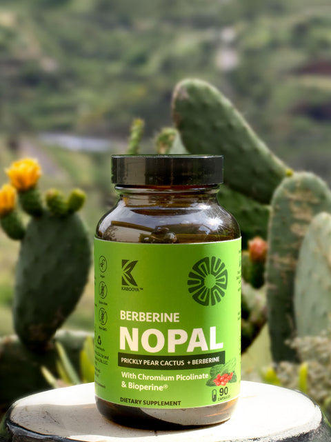 Berberine Nopal natural blood sugar control and weight loss supplement