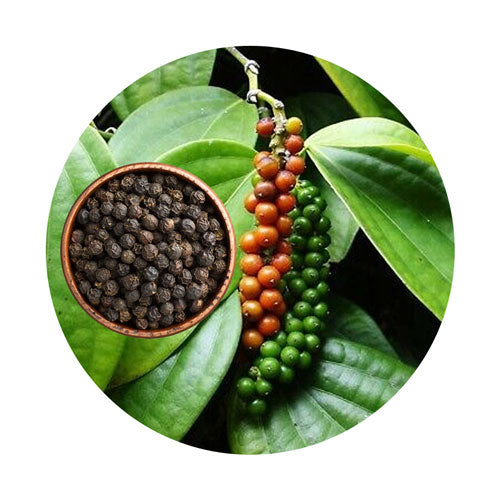 BioPerine® (Black Pepper Extract)